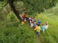 Les sortides al bosc